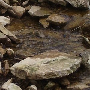 Meet your Posher, Jeff